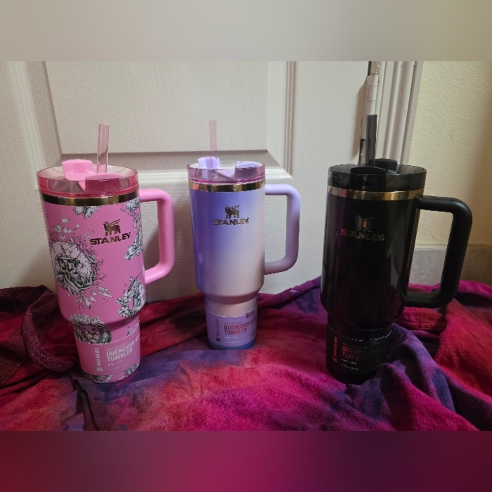 Complete 40oz Set Target x Stanley Wicked For Good FlowState Quencher Tumblers-3
